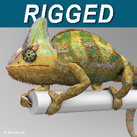 Chameleon  Color